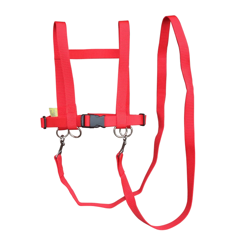 Jamso Design 10905 Pferdespielleine, Gurtband, rot