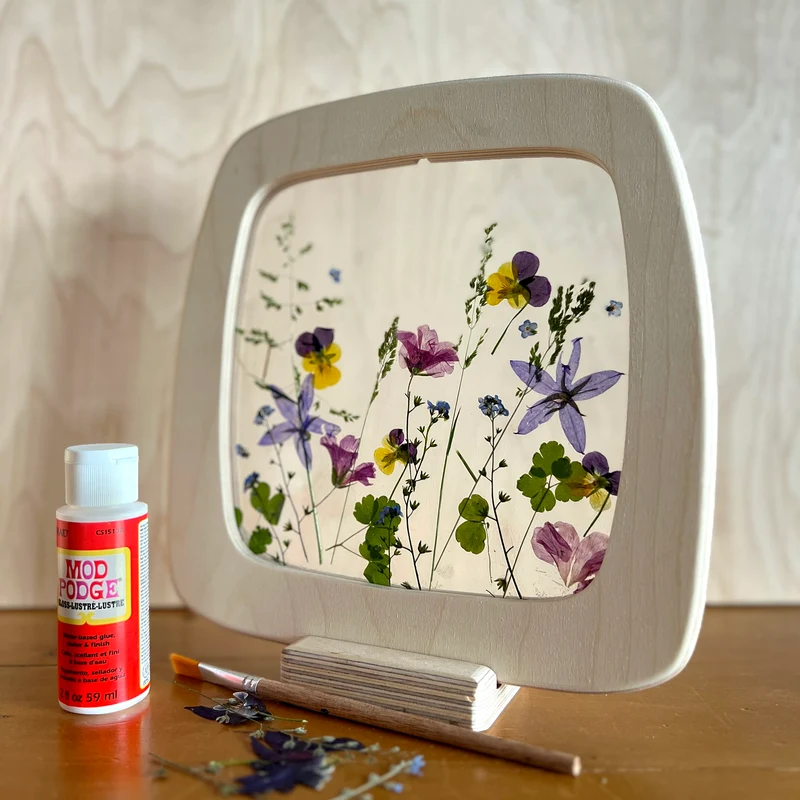 Toverlux Flower Silhouette Kit - DIY Blumen-Silhouetten-Set
