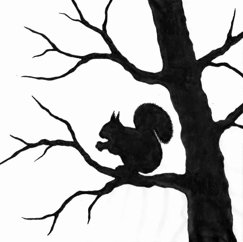 Toverlux DIY Transparent-Set Eichhörnchen "Squirrel"