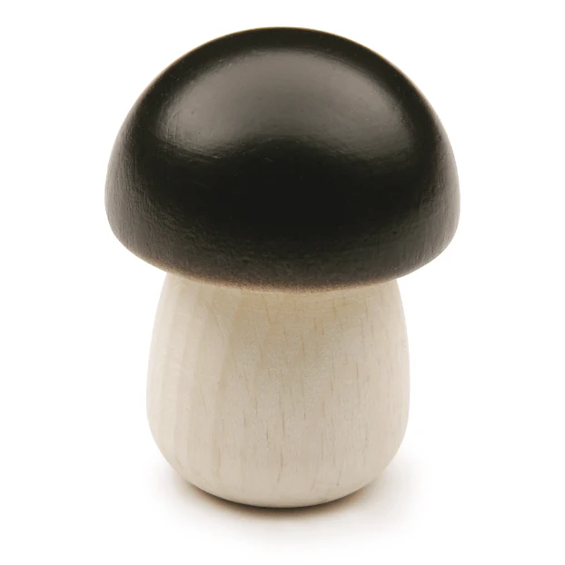 Erzi 12260 Steinpilz