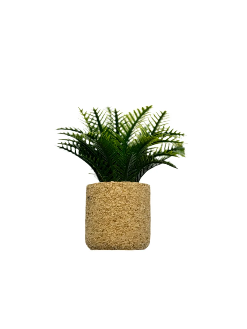 Palm-Pflanze im Korktopf