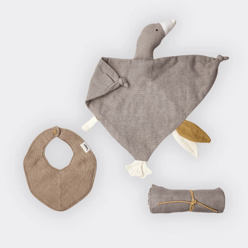 Baby-Geschenkbox - "Tiny Paws" - Nachhaltig & Bio