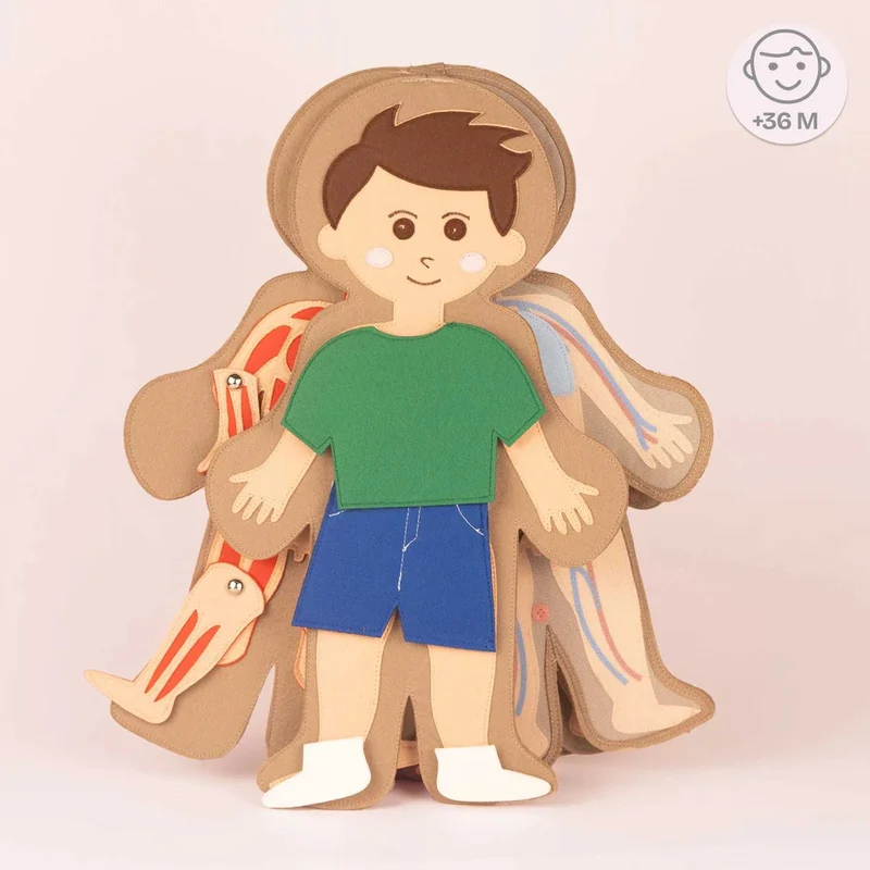 Jolly Designs Travel Buddy Mein Körper - Jungen