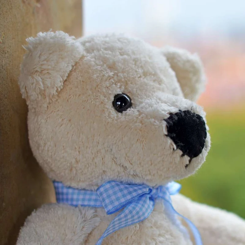 Steiner Bio Teddy Bommel