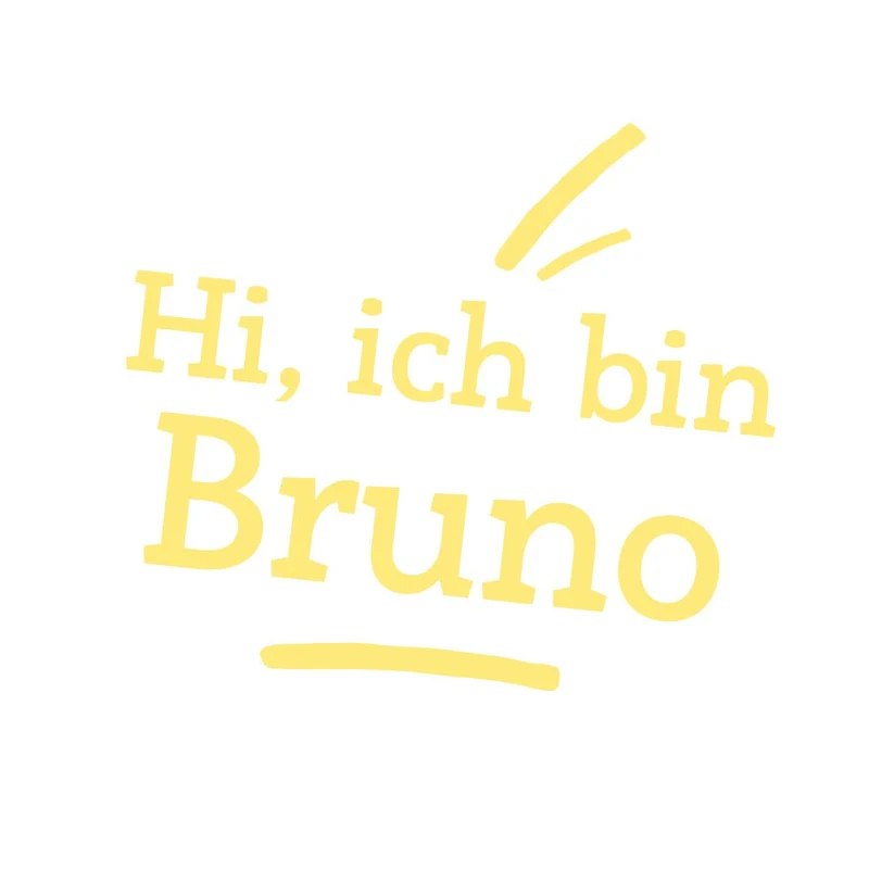 Steiner Bio Teddybär Bruno