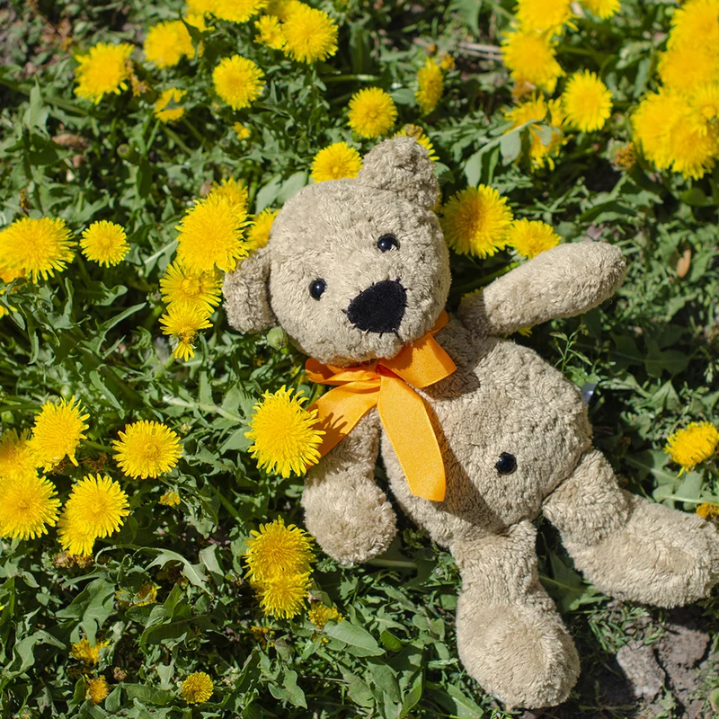 Steiner Bio Teddybär Bruno