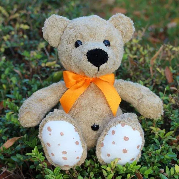 Steiner Bio Teddybär Bruno