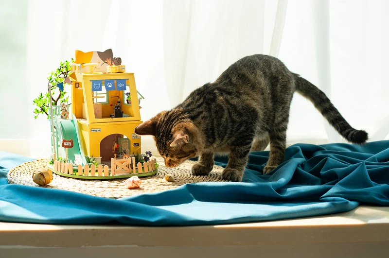 Robotime Cat House DG149
