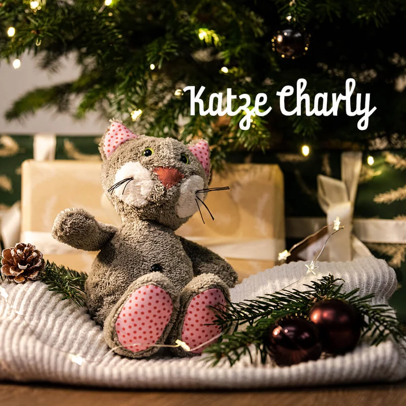 Steiner Bio Kuscheltier Katze Charly