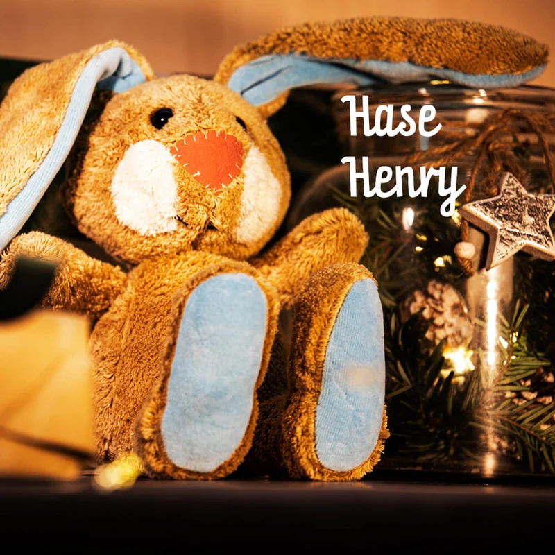 Steiner Bio Kuscheltier Hase Henry