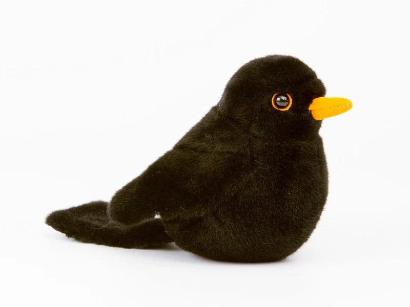 Kösen F5820 Amsel "Türilü"