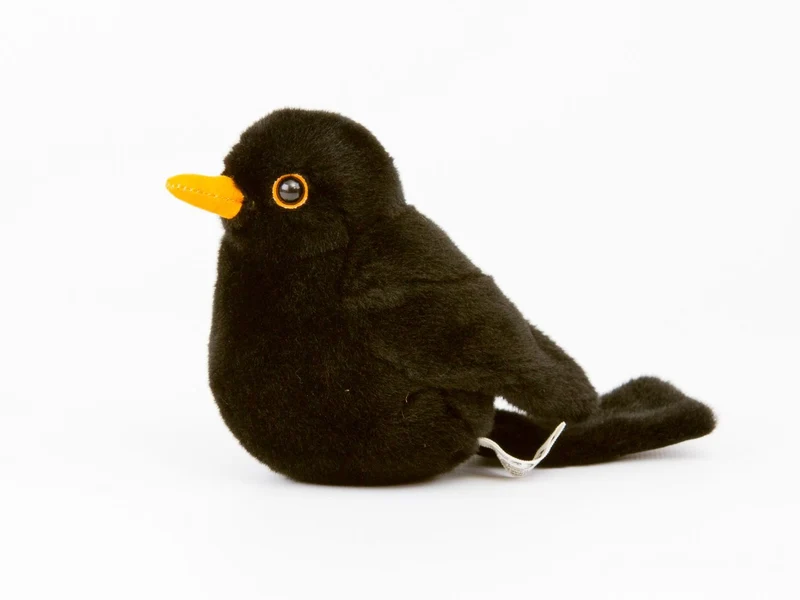 Kösen F5820 Amsel "Türilü"