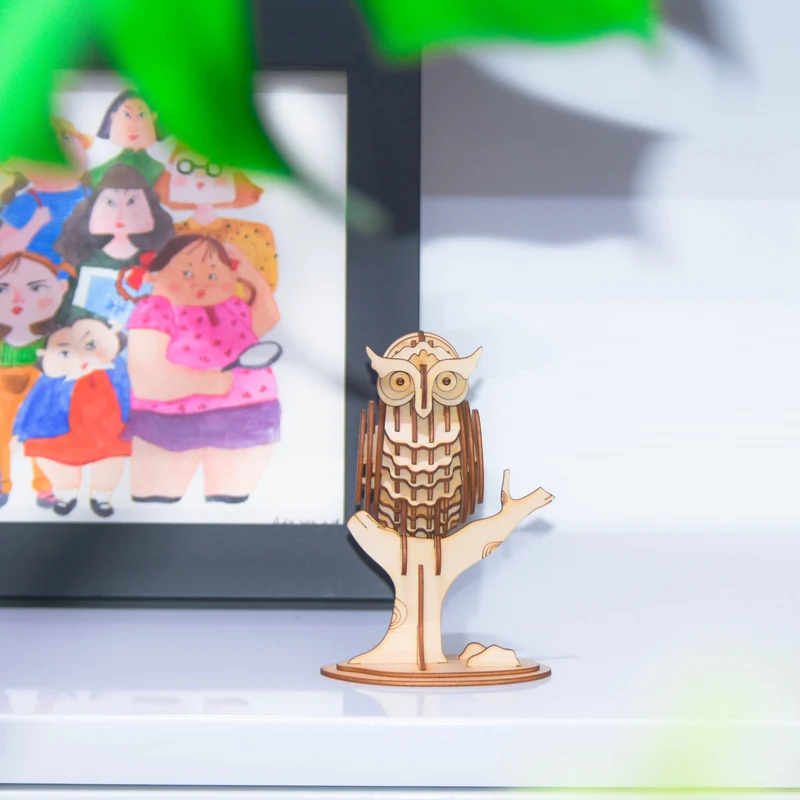 Robotime Owl TG252