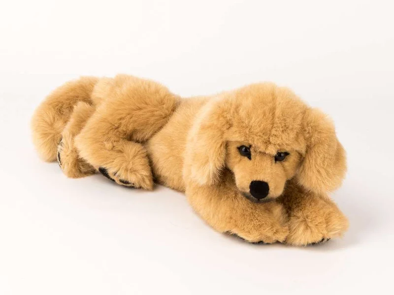 Kösen F5190 Golden Retriever liegend