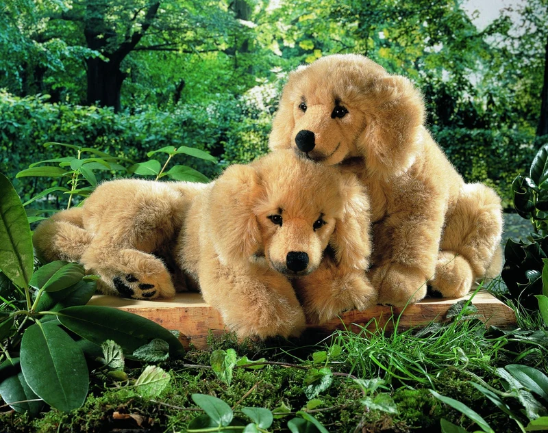 Kösen F5190 Golden Retriever liegend