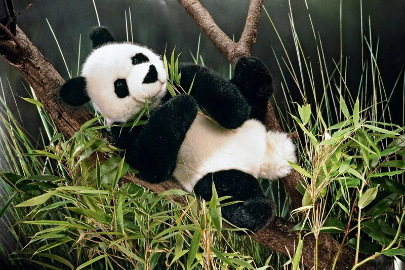 Kösen F6610 Panda sitzend