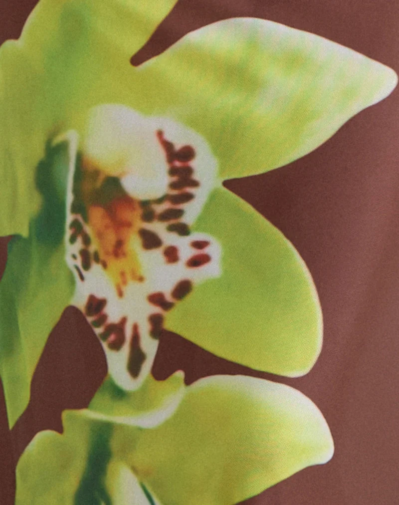 Dartina Maxi-Sliprock in Braun mit grüner Dendrobium-Blüte