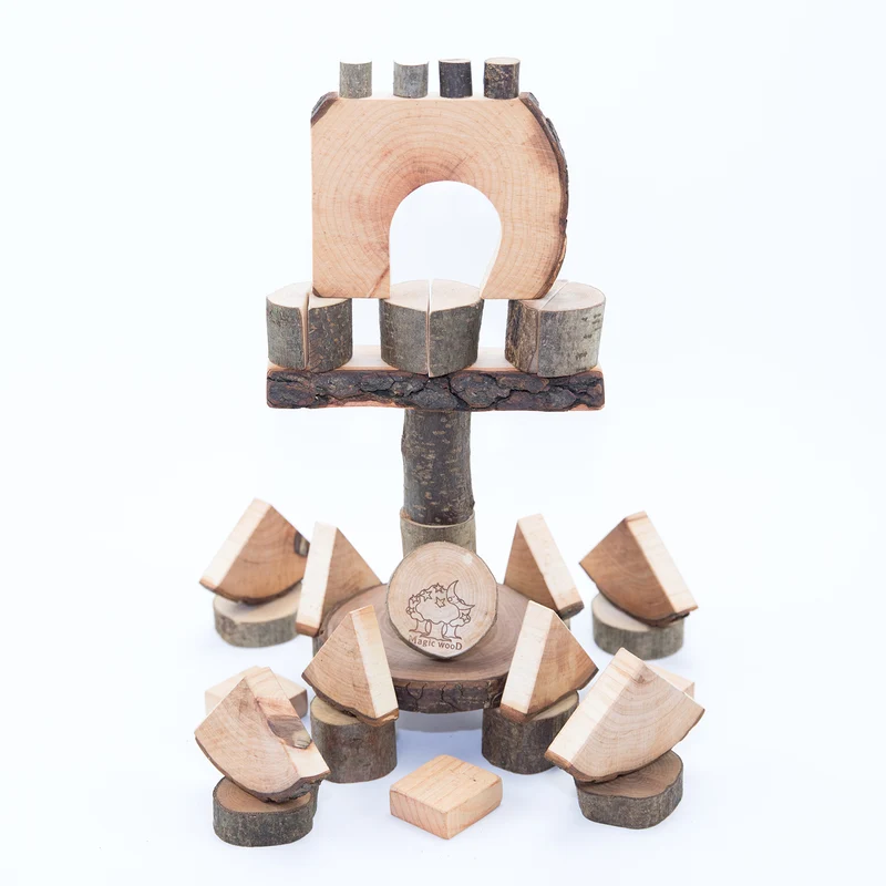 Magic Wood Creative Blocks