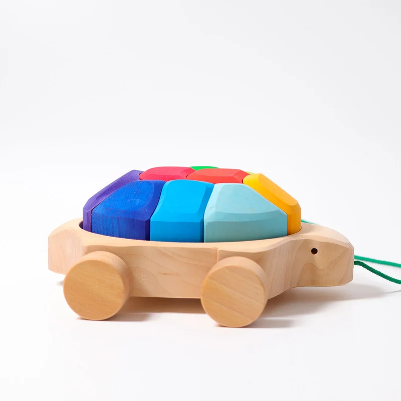 Grimm's Regenbogen Schildkröte