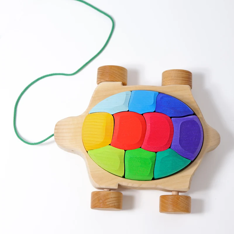 Grimm's Regenbogen Schildkröte