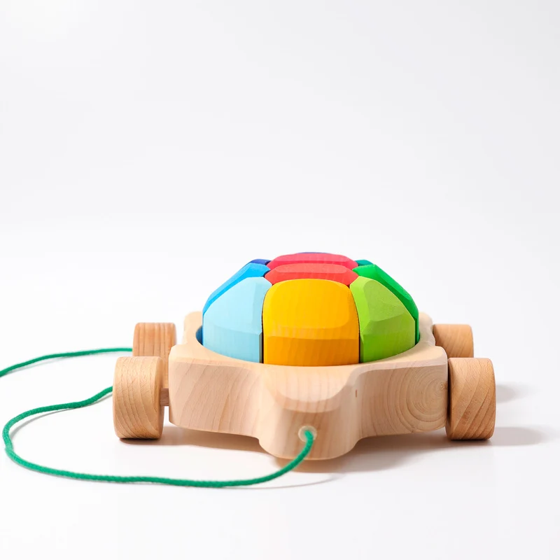 Grimm's Regenbogen Schildkröte